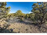 5450 Longbranch Rd - Photo 21