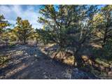 5450 Longbranch Rd - Photo 23