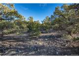 5450 Longbranch Rd - Photo 24