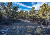 5450 Longbranch Rd - Photo 25