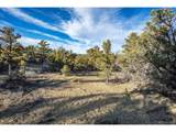 5450 Longbranch Rd - Photo 4
