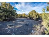 5450 Longbranch Rd - Photo 6
