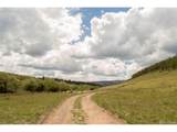 1001 County Rd 17 - Photo 10