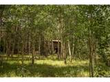 1001 County Rd 17 - Photo 18