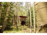 1001 County Rd 17 - Photo 21