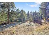 28176 Alabraska Ln - Photo 10