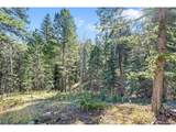 28176 Alabraska Ln - Photo 11
