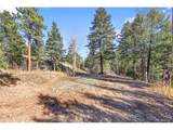 28176 Alabraska Ln - Photo 12