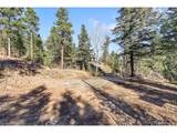 28176 Alabraska Ln - Photo 13