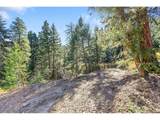 28176 Alabraska Ln - Photo 14