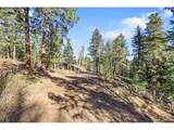 28176 Alabraska Ln - Photo 15