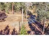 28176 Alabraska Ln - Photo 22