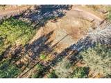 28176 Alabraska Ln - Photo 23
