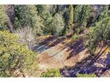 28176 Alabraska Ln - Photo 24