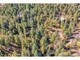 28176 Alabraska Ln - Photo 32