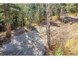 28176 Alabraska Ln - Photo 5