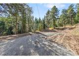 28176 Alabraska Ln - Photo 8
