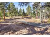 28176 Alabraska Ln - Photo 9