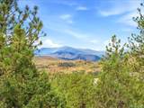 15194 Swiss Rd - Photo 18