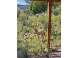 15194 Swiss Rd - Photo 46