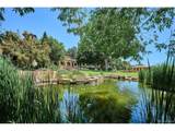 12 Lynn Rd - Photo 19