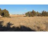 17715 County Road 34 - Photo 10