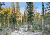  Clear Creek Rd Rd - Photo 13