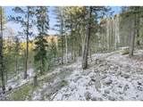  Clear Creek Rd Rd - Photo 15