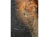 3207 Vaughn Ln - Photo 10