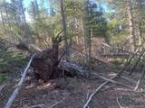 3207 Vaughn Ln - Photo 3