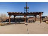 210 Cherrywood Dr - Photo 14