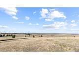 29684 County Road 17-21 - Photo 14