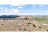 29684 County Road 17-21 - Photo 9
