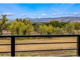 14500 82nd Ave - Photo 42