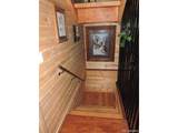 2137 Riccardo Lane - Photo 29