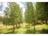 1001 County Rd 17 - Photo 19