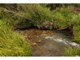 1001 County Rd 17 - Photo 22