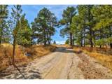 18673 Elbert Rd - Photo 1