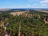 18673 Elbert Rd - Photo 10