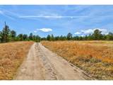 18673 Elbert Rd - Photo 2