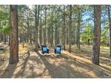 18673 Elbert Rd - Photo 30