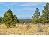 18673 Elbert Rd - Photo 35
