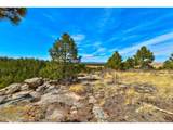 18673 Elbert Rd - Photo 36