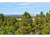18673 Elbert Rd - Photo 39