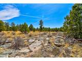 18673 Elbert Rd - Photo 40