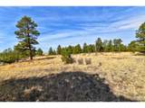 18673 Elbert Rd - Photo 42