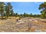 18673 Elbert Rd - Photo 43