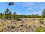 18673 Elbert Rd - Photo 44