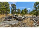 18673 Elbert Rd - Photo 45
