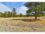 18673 Elbert Rd - Photo 46